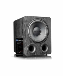 SVS PB 1000 Pro Subwoofer