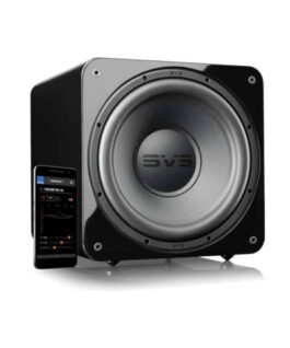 SVS SB 1000 Pro Subwoofer