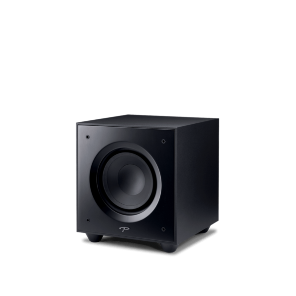 Paradigm Defiance V10 Subwoofer front side view