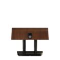 Paradigm Founder 90C Center Channel Speaker walnut back view