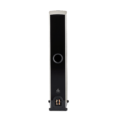 Paradigm Premier 800F Floor Standing Speakers black back view